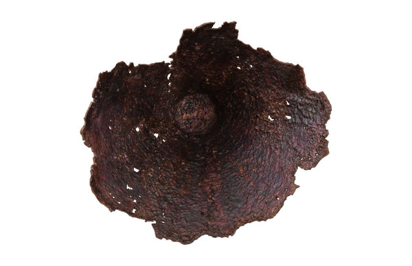Phillips Collection Jagged Splash Bowl Wall Art - Sculptural Metallic Home Décor for Modern Organic Interiors Oxidized Copper Finish PH103662