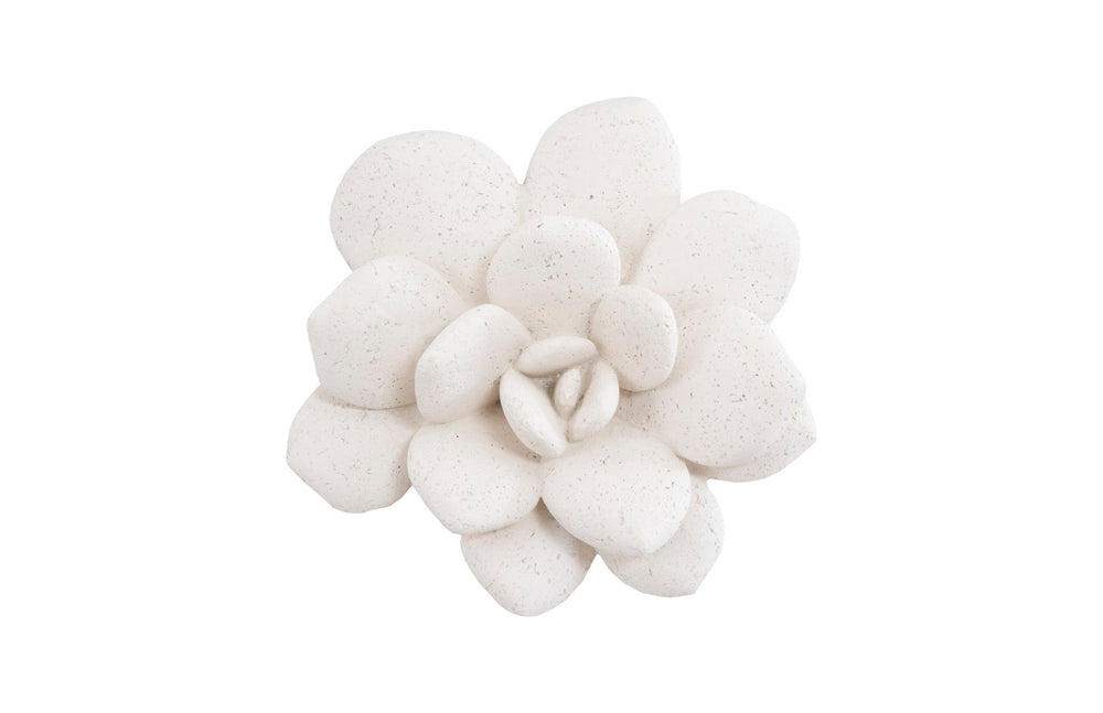 Phillips Collection Laui Succulent Wall Art – Modern Organic Floral Sculpture In White Stone Finish For Gallery Walls White Resin,Resin Composite Ph104150
