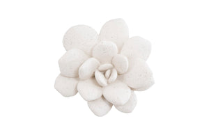 Phillips Collection Laui Succulent Wall Art – Modern Organic Floral Sculpture In White Stone Finish For Gallery Walls White Resin,Resin Composite Ph104150