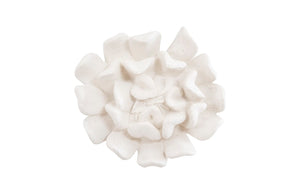 Phillips Collection Topsy Turvy Succulent Wall Art - Charming White Stone Floral Sculpture For Modern Gallery Displays White Resin Ph104152
