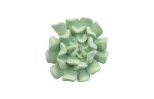 Phillips Collection Topsy Turvy Succulent Wall Art - Modern Organic Floral Sculpture For Unique Home Décor Displays Green Resin Ph104153