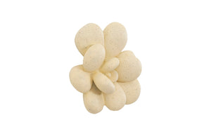 Phillips Collection Oviferum Succulent Wall Art - Modern Floral Sculpture For Unique Gallery Displays & Organic Style Yellow Resin Ph104155