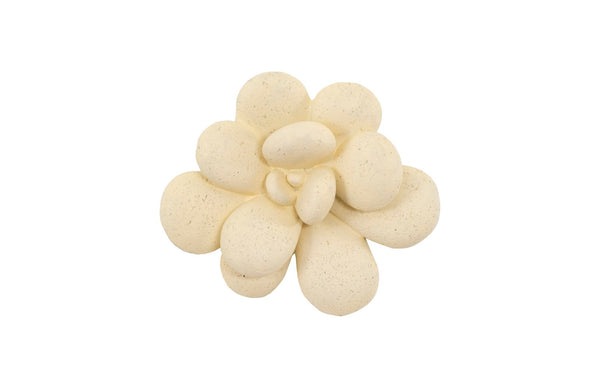 Phillips Collection Oviferum Succulent Wall Art - Modern Floral Sculpture For Unique Gallery Displays & Organic Style Yellow Resin Ph104155