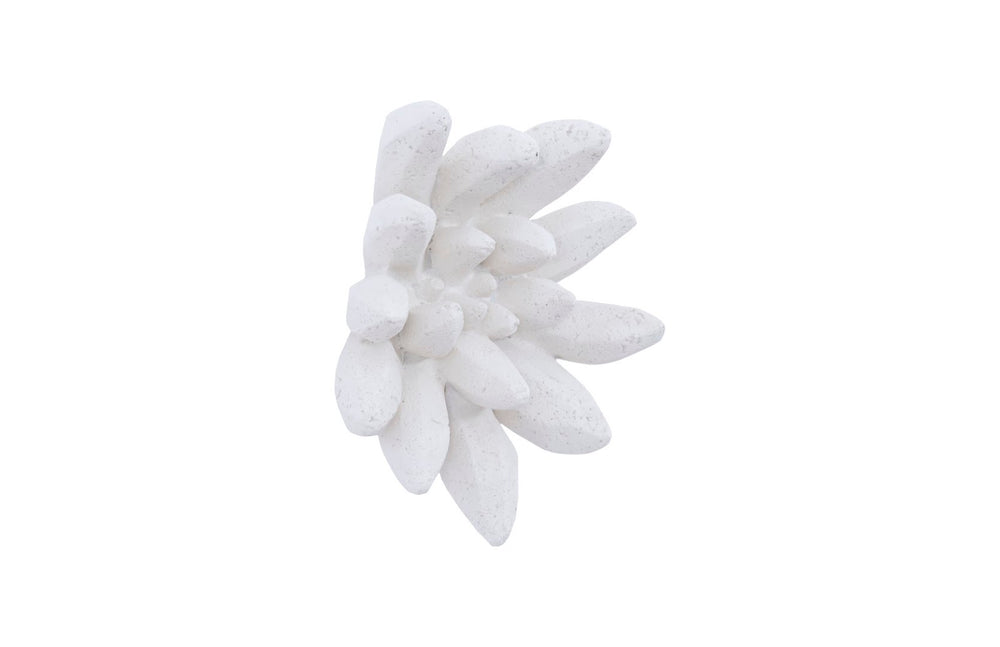 Phillips Collection Compactum White Stone Succulent Wall Art - Modern Organic Floral Sculpture For Gallery Displays White Resin,Resin Composite Ph104156