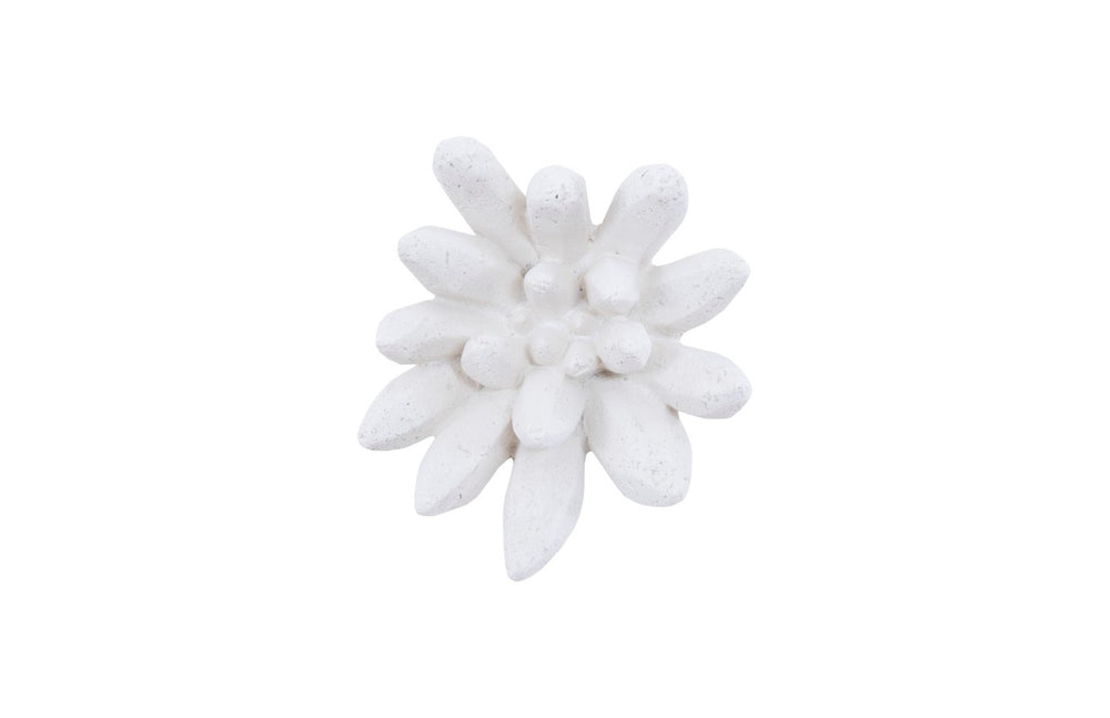 Phillips Collection Compactum White Stone Succulent Wall Art - Modern Organic Floral Sculpture For Gallery Displays White Resin,Resin Composite Ph104156