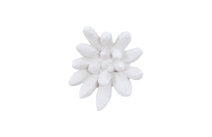 Phillips Collection Compactum White Stone Succulent Wall Art - Modern Organic Floral Sculpture For Gallery Displays White Resin,Resin Composite Ph104156