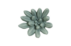 Phillips Collection Compactum Forest Succulent Wall Art - Modern Organic Floral Sculpture For Stunning Gallery Displays Green Resin Ph104157