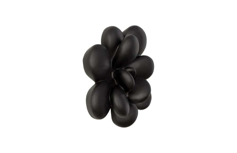 Phillips Collection Oviferum Succulent Wall Art - Modern Floral Sculpture For Unique Gallery Displays & Organic Style Black Resin Ph111558