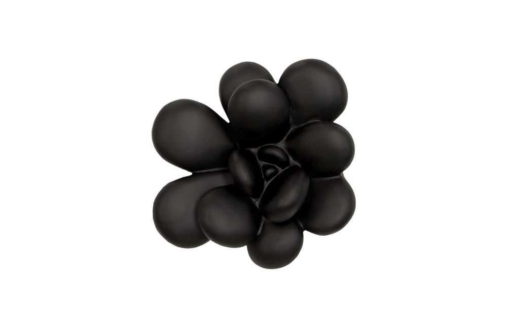 Phillips Collection Oviferum Succulent Wall Art - Modern Floral Sculpture For Unique Gallery Displays & Organic Style Black Resin Ph111558