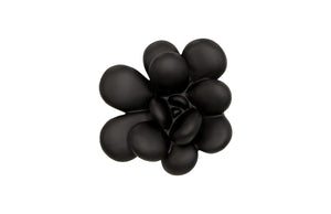 Phillips Collection Oviferum Succulent Wall Art - Modern Floral Sculpture For Unique Gallery Displays & Organic Style Black Resin Ph111558