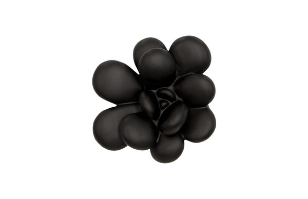 Phillips Collection Oviferum Succulent Wall Art - Modern Floral Sculpture For Unique Gallery Displays & Organic Style Black Resin Ph111558