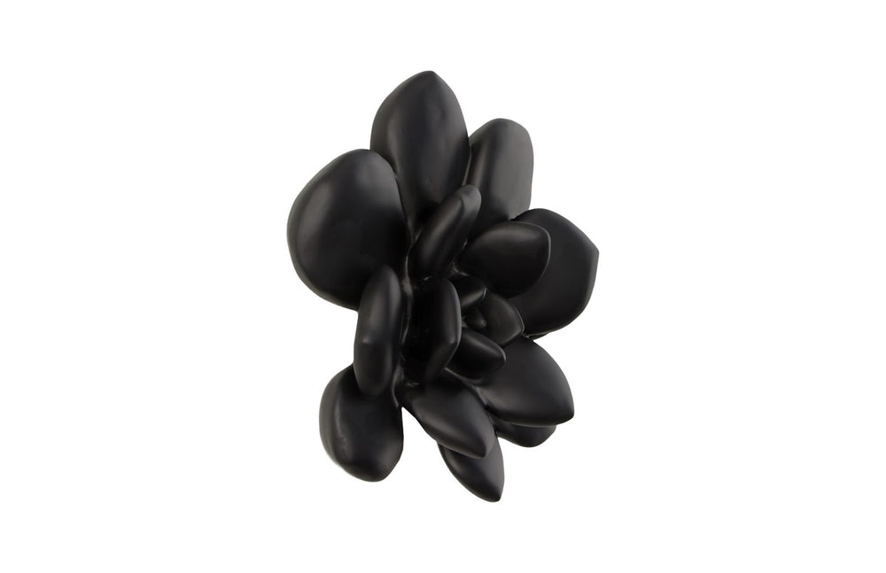 Phillips Collection Laui Succulent Wall Art in Matte Black Resin – Modern Minimalist Decor for Stylish Interiors PH111559