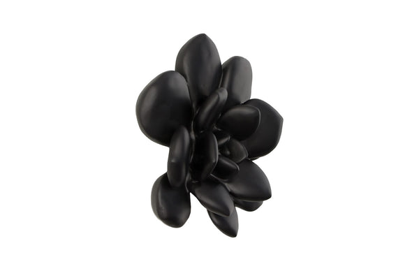 Phillips Collection Laui Succulent Wall Art – Modern Organic Floral Sculpture For Unique Gallery Wall Displays Black Resin Ph111559