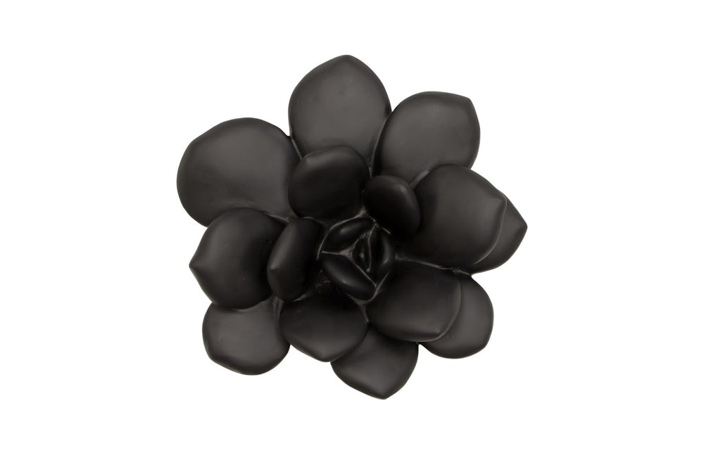Phillips Collection Laui Succulent Wall Art in Matte Black Resin – Modern Minimalist Decor for Stylish Interiors PH111559