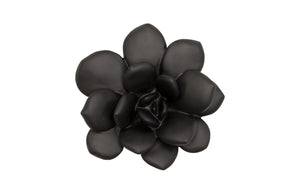 Phillips Collection Laui Succulent Wall Art – Modern Organic Floral Sculpture For Unique Gallery Wall Displays Black Resin Ph111559