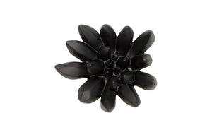 Phillips Collection Compactum Succulent Wall Art – Elegant Matte Black Floral Sculpture For Modern Home Decor Display Black Resin Ph111560