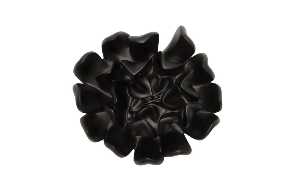 Phillips Collection Topsy Turvy Succulent Wall Art in Smooth Matte Black - Modern Minimalist Home Decor Accent Piece PH111561