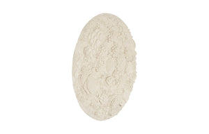 Phillips Collection Coral Reef Wall Art - Stunning Ocean-inspired Design With Natural White Finish And Iron Frame Off White Resin Ph112039