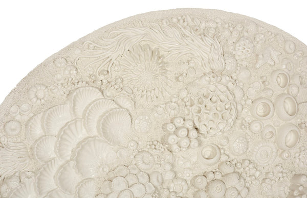 Phillips Collection Coral Reef Wall Art - Stunning Ocean-inspired Design With Natural White Finish And Iron Frame Off White Resin Ph112039