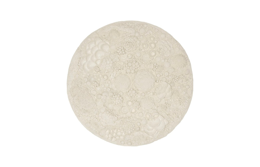 Phillips Collection Coral Reef Wall Art - Hand-Painted Cream Design in Black Iron Frame for Coastal Home Décor PH112039