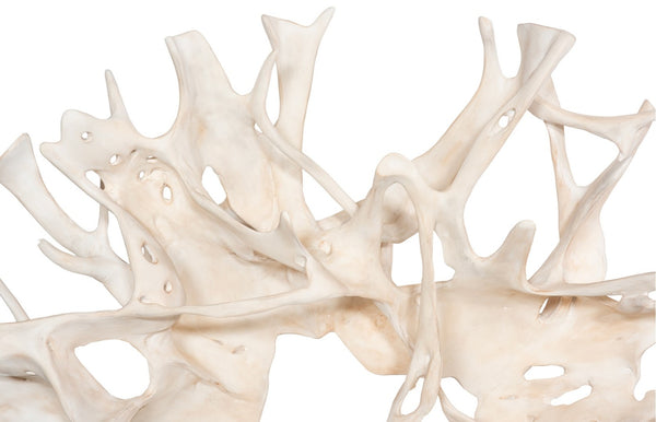 Phillips Collection Cast Root Wall Decor - Sculptural Faux Driftwood Design for Coastal & Rustic Home Interiors Faux Bleached PH115006