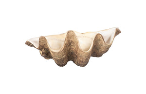 Phillips Collection Cast Clam Shell Bowl – Elegant Coastal Decor Piece For A Touch Of Ocean Charm In Your Home Beige,White Resin Ph115689