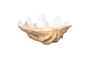 Phillips Collection Cast Clam Shell Bowl – Elegant Coastal Decor Piece For A Touch Of Ocean Charm In Your Home Beige,White Resin Ph115689