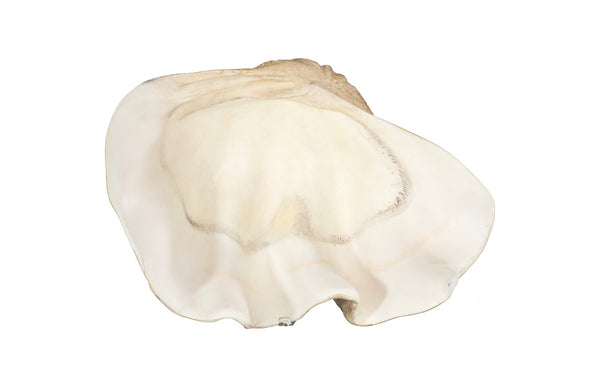 Phillips Collection Cast Clam Shell Bowl – Elegant Coastal Decor Piece For A Touch Of Ocean Charm In Your Home Beige,White Resin Ph115690