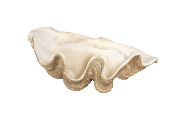 Phillips Collection Cast Clam Shell Bowl – Elegant Coastal Decor Piece For A Touch Of Ocean Charm In Your Home Beige,White Resin Ph115690