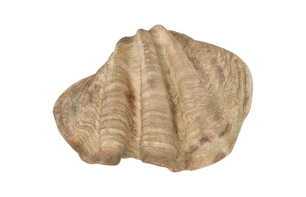 Phillips Collection Cast Clam Shell Bowl – Elegant Coastal Decor Piece For A Touch Of Ocean Charm In Your Home Beige,White Resin Ph115690