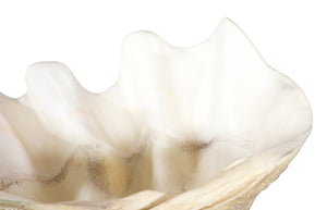 Phillips Collection Cast Clam Shell Bowl – Elegant Coastal Decor Piece For A Touch Of Ocean Charm In Your Home Beige,White Resin Ph115690