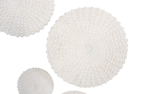 Phillips Collection Sea Urchin Wall Art Set Of 4 - Coastal Charm & Modern Sophistication For Your Home Decor Transformation Off White Resin Ph117333