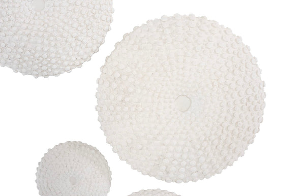 Phillips Collection Sea Urchin Wall Art Set Of 4 - Coastal Charm & Modern Sophistication For Your Home Decor Transformation Off White Resin Ph117333