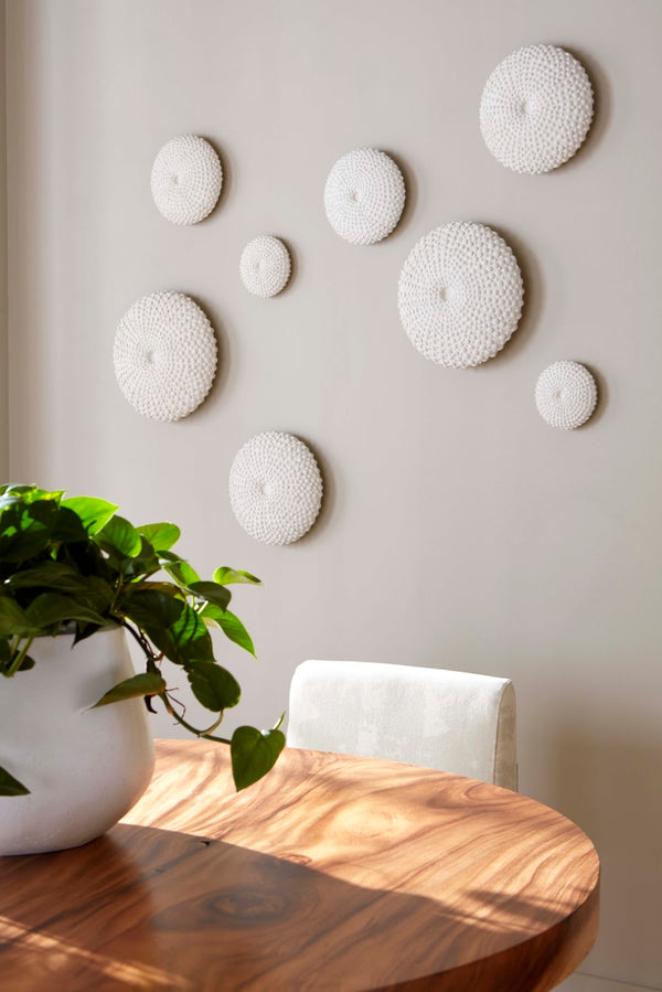 Phillips Collection Sea Urchin Wall Art Set of 4 - Coastal Elegance for Your Home with Contemporary Textured Design PH117333