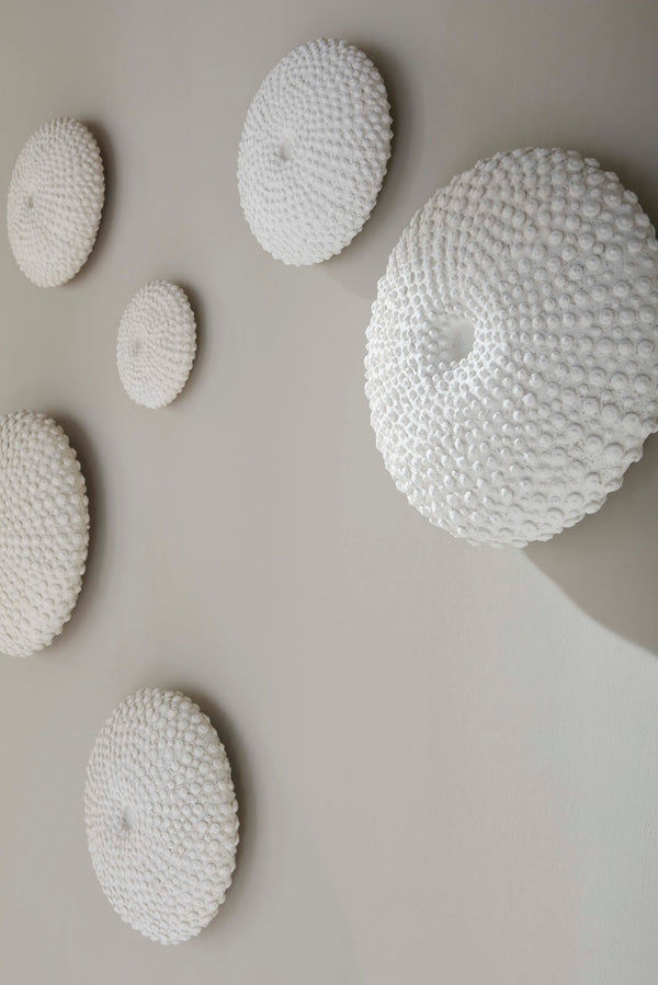Phillips Collection Sea Urchin Wall Art Set of 4 - Coastal Elegance for Your Home with Contemporary Textured Design PH117333