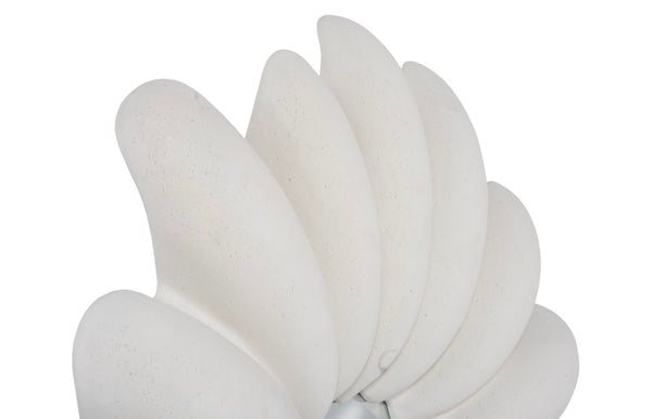 Phillips Collection Radial Shell Mirror - Elegant Ocean-inspired Design With White Stone Accents For Any Room Decor Off White Resin Ph117416