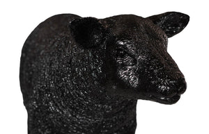 Phillips Collection Texelaar Sheep Lamb Gel Coat Black - Unique Décor Piece For Living Room Or Patio Charm & Style Black Resin Ph118802