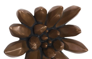 Phillips Collection Compactum Succulent Sculptural Wall Art Bronze Metallic Relief Botanical Decor Piece PH120644