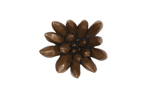 Phillips Collection Compactum Succulent Sculptural Wall Art Bronze Metallic Relief Botanical Decor Piece PH120644