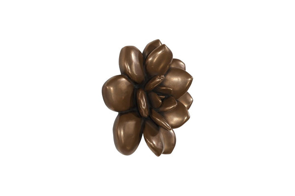 Phillips Collection Laui Sculptural Succulent Bronze Wall Art 3d Botanical Relief Composite Decor PH120645