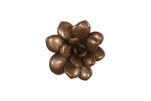 Phillips Collection Laui Sculptural Succulent Bronze Wall Art 3d Botanical Relief Composite Decor PH120645