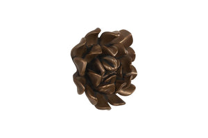 Phillips Collection Topsy Turvy Succulent Sculptural Wall Art Bronze Botanical Relief Home Decor PH120646