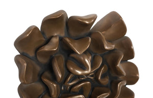 Phillips Collection Topsy Turvy Succulent Sculptural Wall Art Bronze Botanical Relief Home Decor PH120646