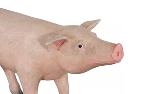 Phillips Collection Pig Resin Sculpture with Gel Coat Finish Modern Abstract Accent for Entryway or Shelf PH120918