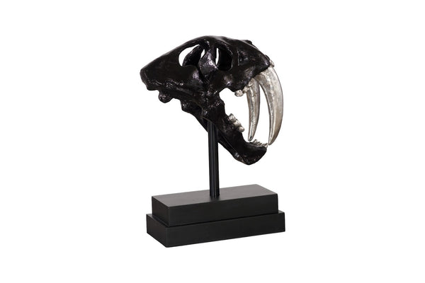 Phillips Collection Saber Tooth Tiger Skull Sculpture – Stunning Roman Stone Finish for Bold Home Décor & Focal Point Black PH56705