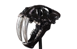 Phillips Collection Saber Tooth Tiger Skull Sculpture – Stunning Roman Stone Finish for Bold Home Décor & Focal Point Black PH56705