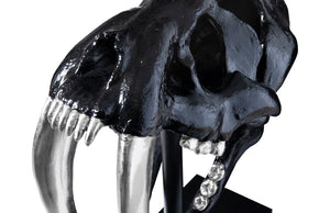 Phillips Collection Saber Tooth Tiger Skull Sculpture – Stunning Roman Stone Finish for Bold Home Décor & Focal Point Black PH56705