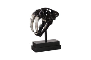 Phillips Collection Saber Tooth Tiger Skull Sculpture – Stunning Roman Stone Finish for Bold Home Décor & Focal Point Black PH56705