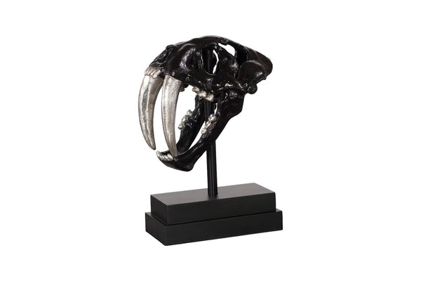 Phillips Collection Saber Tooth Tiger Skull Sculpture – Stunning Roman Stone Finish for Bold Home Décor & Focal Point Black PH56705