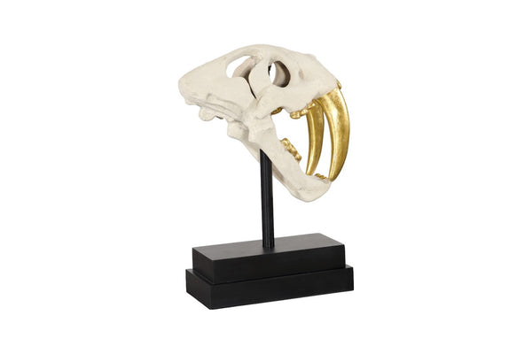 Phillips Collection Saber Tooth Tiger Skull Sculpture – Stunning Roman Stone Finish for Bold Home Décor & Focal Point Roman Stone PH56706